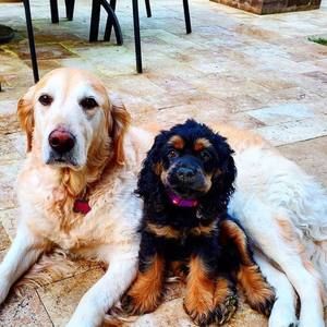 Meet your Posher, Robin